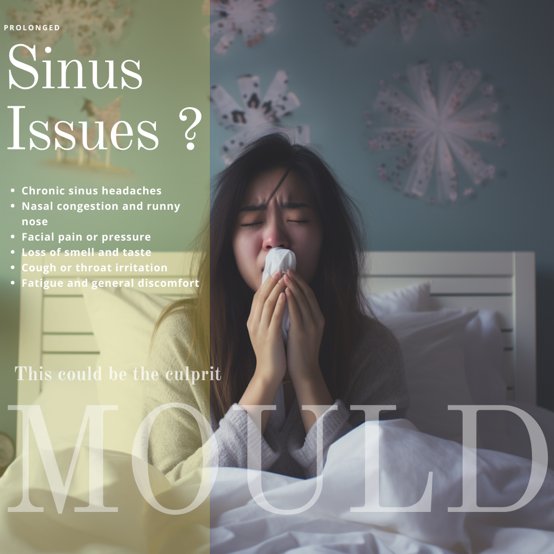 The Hidden Health Hazards: How Mould Can Trigger Various Illnesses