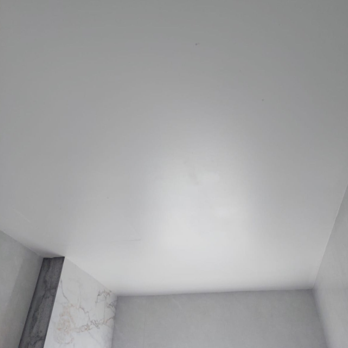 Understand mould eradication process