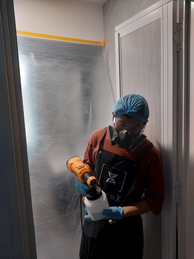 Mould Protection - Anti-mould and Anti-Fungi Coating Service Pico X 